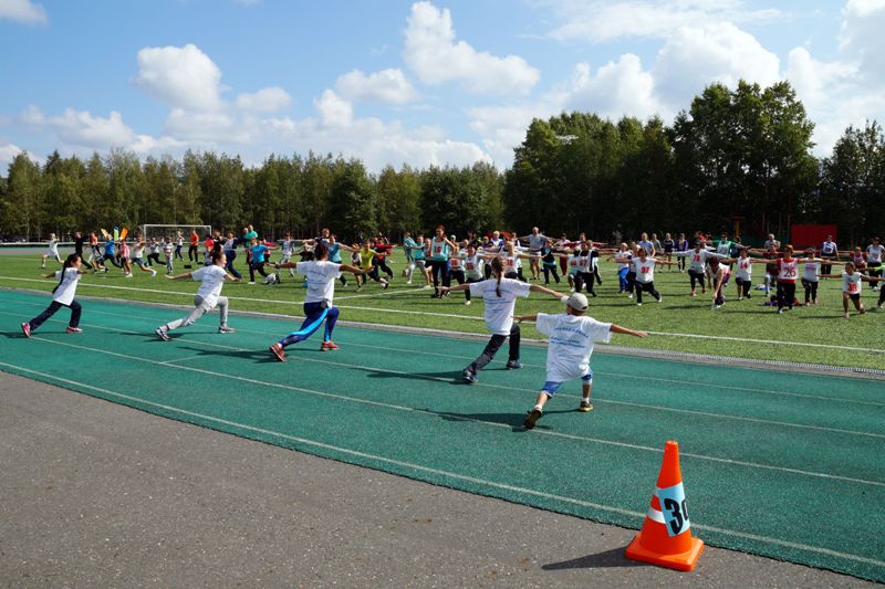 gto 2015