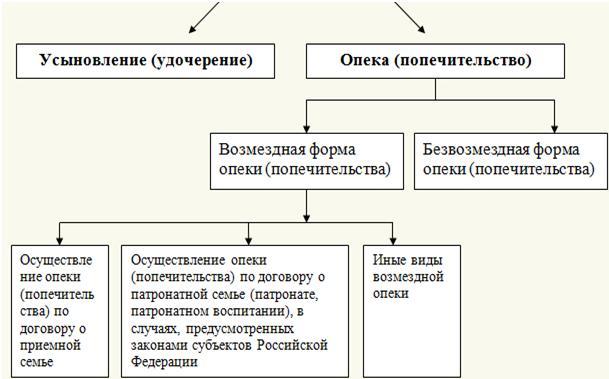 opeka formi ustroistva detei